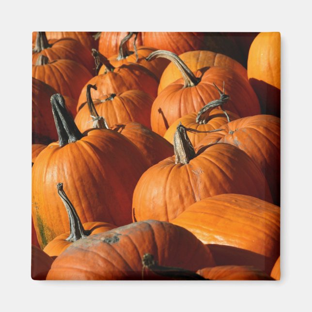 Íman Pumpkins (Frente)