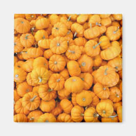 Íman Pumpkins de Colheita de Pequeno Laranja