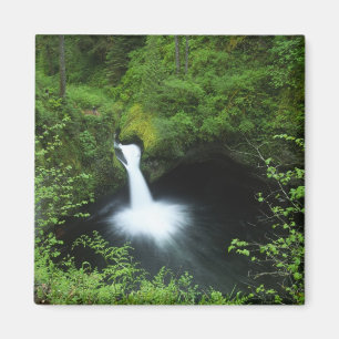 Íman Punchbowl Falls no Eagle Creek, Rio Columbia