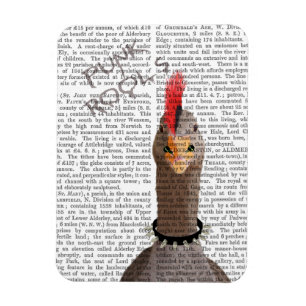 Íman Punk Rock Goose