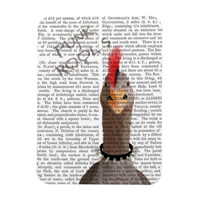 Íman Punk Rock Goose (Vertical)