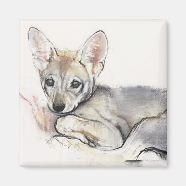 Íman Pup do Lobo Árabe Curled 2009 (Frente)