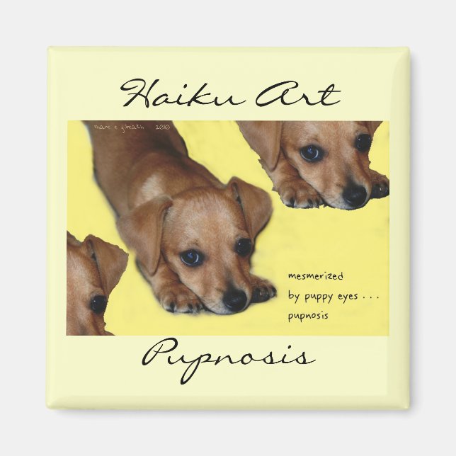 Íman Pupnosis Haiku Art Magnet (Frente)