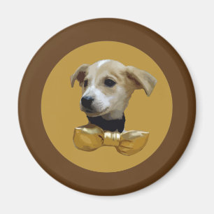 Íman Puppia
