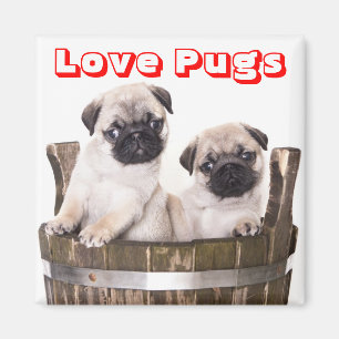 Íman Puppie Cães de Papoila em Magneta de Crato de Woo