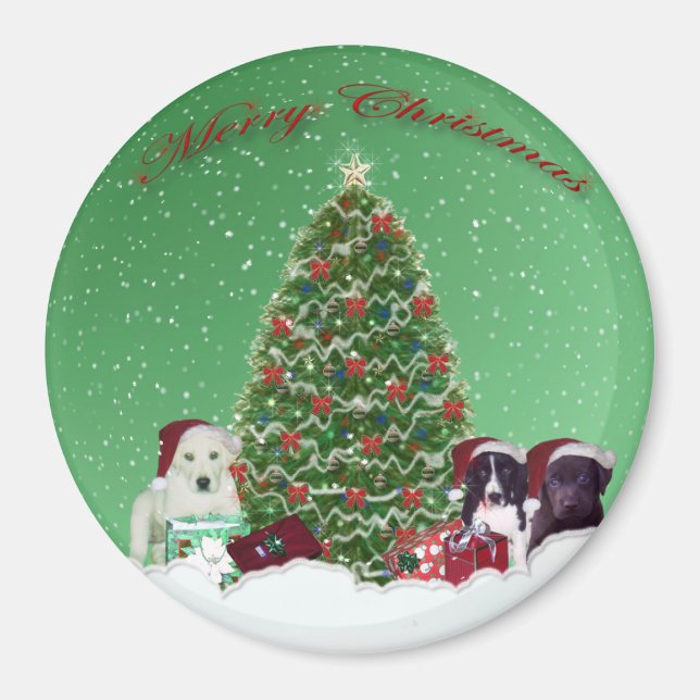 Íman Puppies Dia de Natal Magnet (Frente)