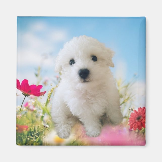 Íman Puppy Angel (Frente)