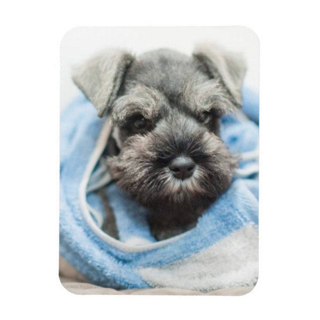 Íman Puppy Após Bath (Vertical)