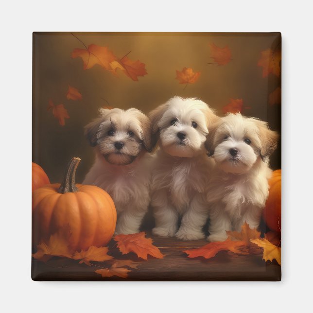 Íman Puppy Autumn Delight Pumpkin (Frente)
