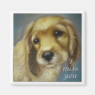 Íman Puppy - Eu Sinto Sua Falta - Magnet