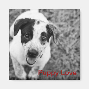 Íman Puppy Love