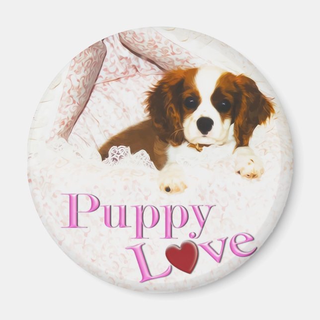 Íman Puppy Love Cavalier King Charles Spaniel Magnet (Frente)