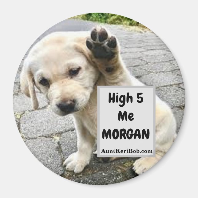 Íman Puppy MORGAN High 5 Me (Frente)
