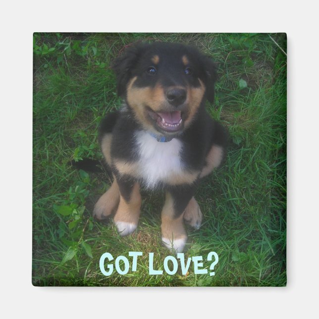 ÍMAN PUPPY, TEM AMOR? (Frente)