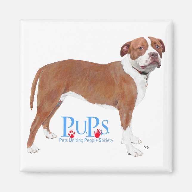 Íman PUPs Resgatou Pit Bull (Frente)