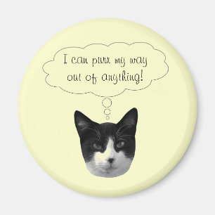 Íman Purgar Meu Caminho para Fora de Qualquer Magneta