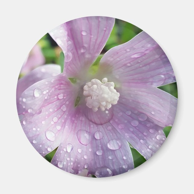 Íman Puro brilhante (Frente)