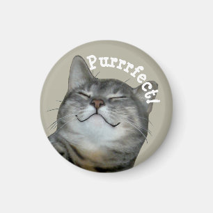 Íman Puro Gato de presunto