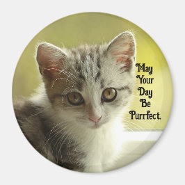 Íman Purrfect Day Kitten Magnet