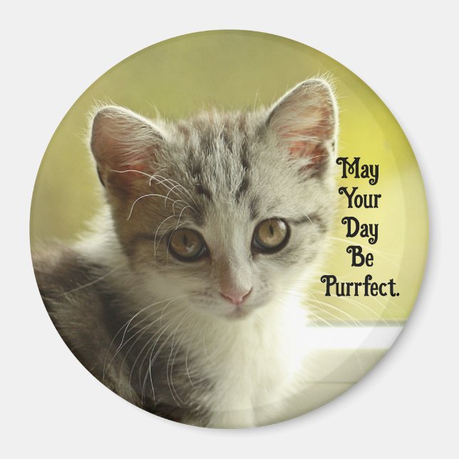 Íman Purrfect Day Kitten Magnet (Frente)