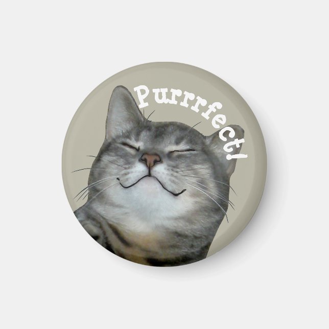 Íman Purrfect Smilg gatty cat (Frente)