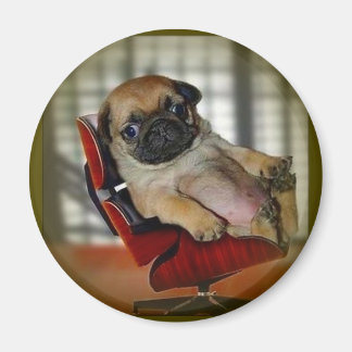 Íman Puxe!