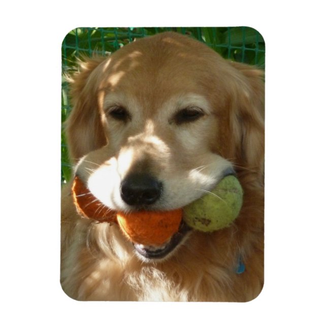 Íman Puzzle do Golden Retriever & Bolas de Tênis (Vertical)