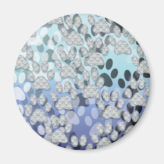 Íman PWS brilhante 1