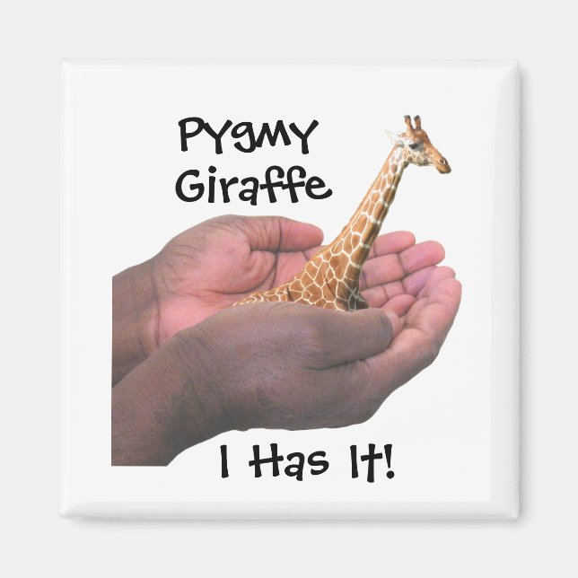 Íman Pygmy Giraffe (Frente)
