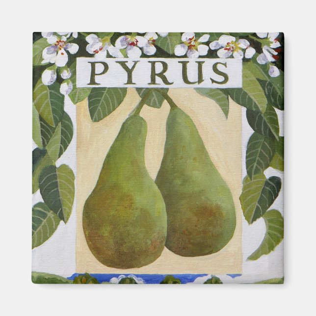 Íman Pyrus (Frente)