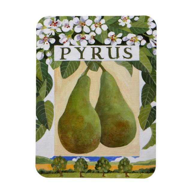 Íman Pyrus (Vertical)