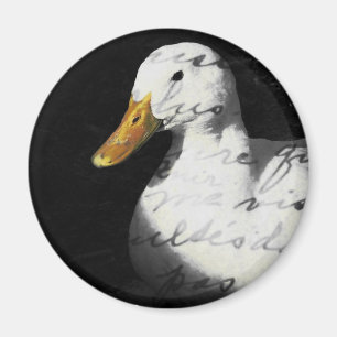 Íman Quackers