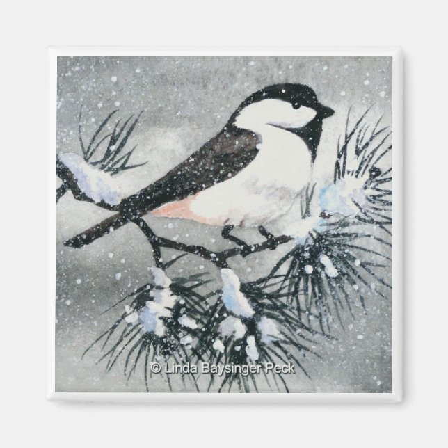 Íman Quadrado de Aves Chickadee de Casca Preta (Frente)