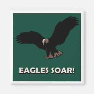 Íman Quadrado de Eagle do vôo