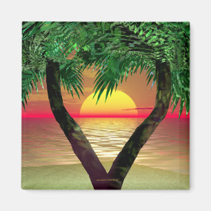 Íman Quadro da Palm