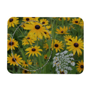 Íman Quadro de Campo Susan Olhada Negra Adicionar Sua F