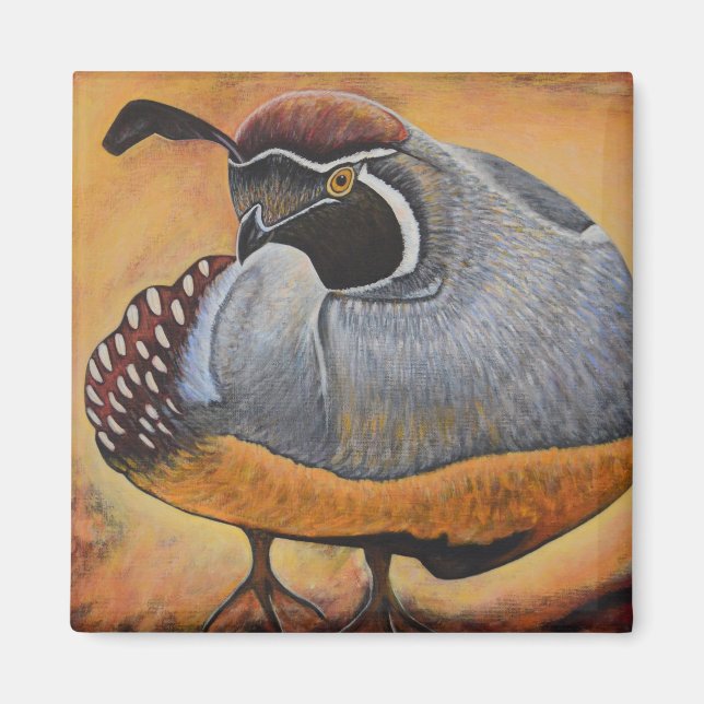 Íman Quail (Frente)