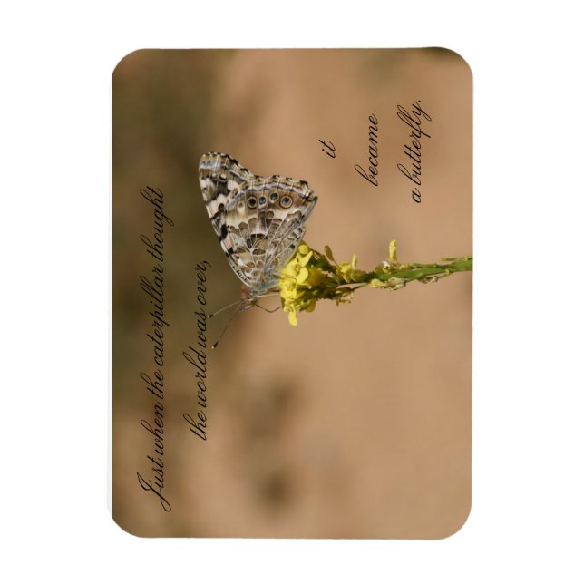 Íman Quando a lagarta pensou no... (Vertical)