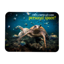 Quando a vida se torna difícil, continue nadando