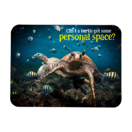 Íman Quando a vida se torna difícil, continue nadando