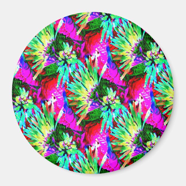 Íman Quando no Havaí... (Frente)