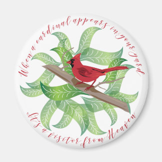 Íman Quando um cardeal aparece no seu quintal...