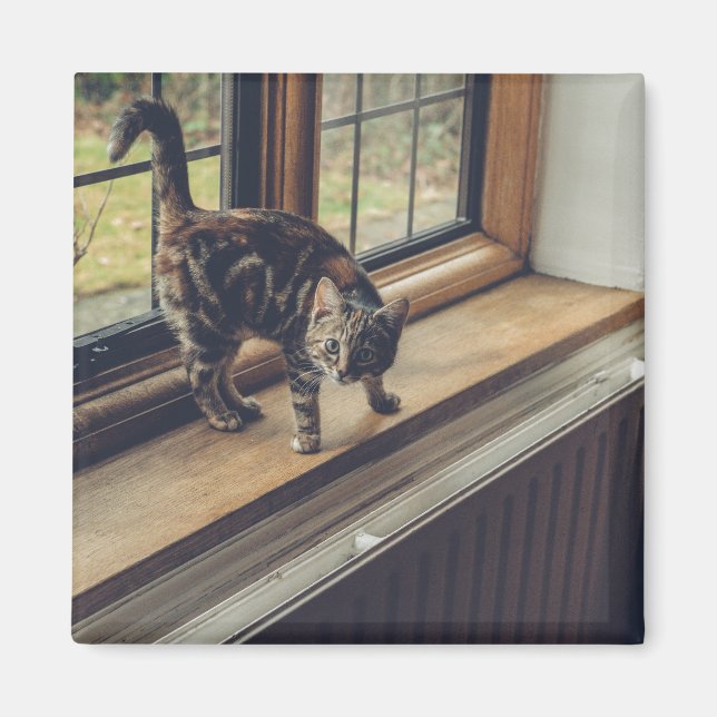 Íman Quanto é esse Gatinho na janela? (Frente)