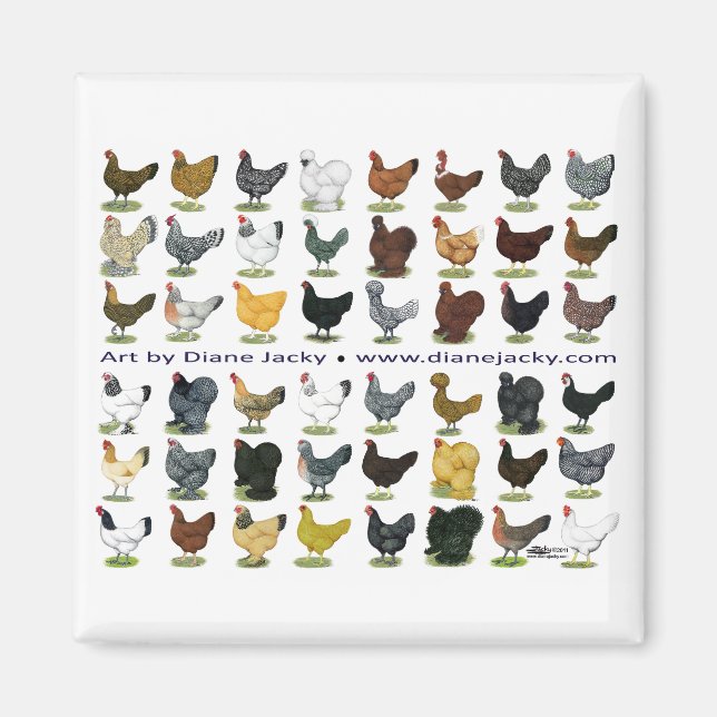 Íman Quarenta e oito Hen Promo (Frente)