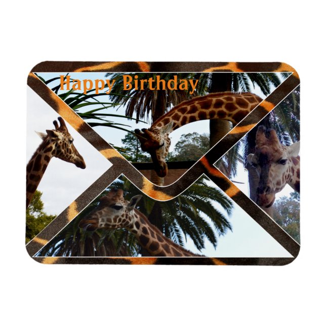 Íman Quatro Girafas Em Um Envelope Girafa, Magnet (Horizontal)