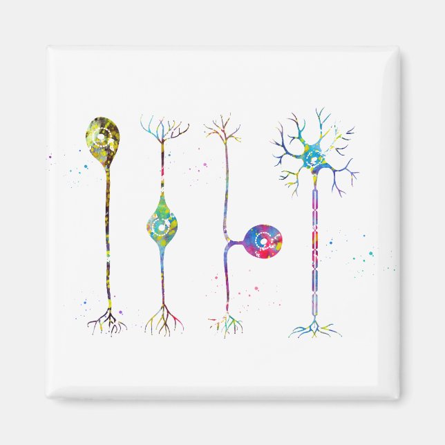 Íman Quatro tipos de neurônios (Frente)