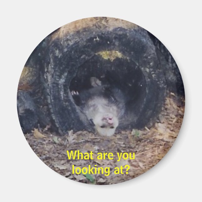 Íman Que Dia! -iman (Frente)