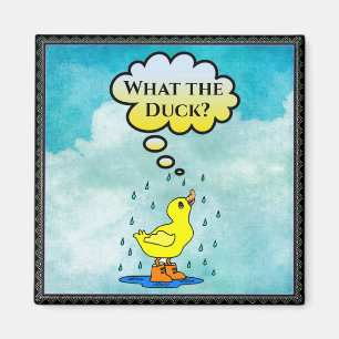 Íman Que Duck?Ímã