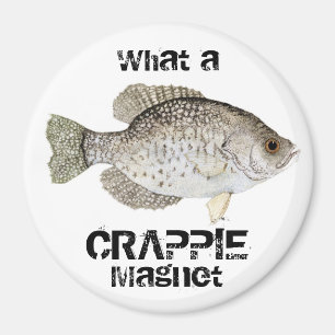 Íman Que ímã do TIPO DE PEIXE