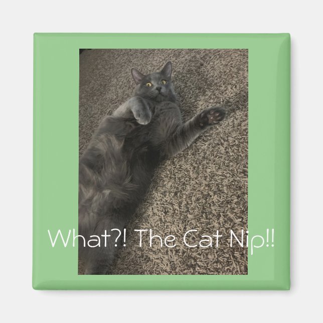 Íman "Que NIP do Gato?!" (Frente)